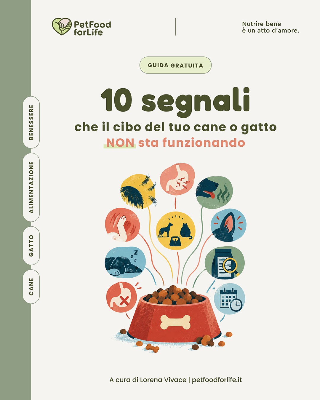 Copertina della guida gratuita "10 segnali che il cibo del tuo cane o gatto non sta funzionando", con illustrazione di salmone, carne, verdure e cereali che cadono in una ciotola